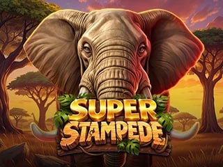SUPER STAMPEDE